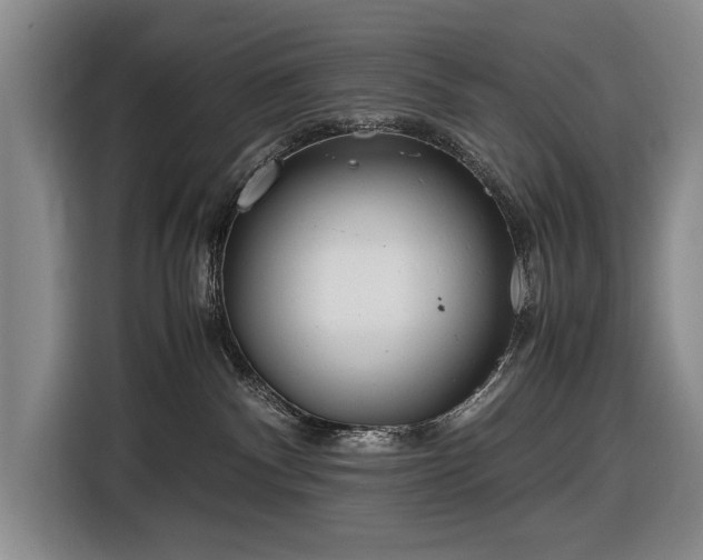 X0000116560140200912171417