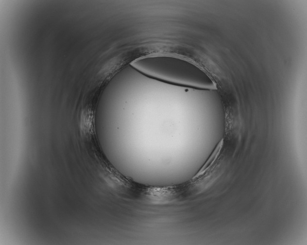 X0000116560141200912171417