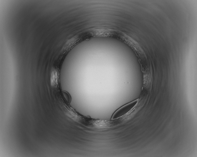 X0000116560142200912171417