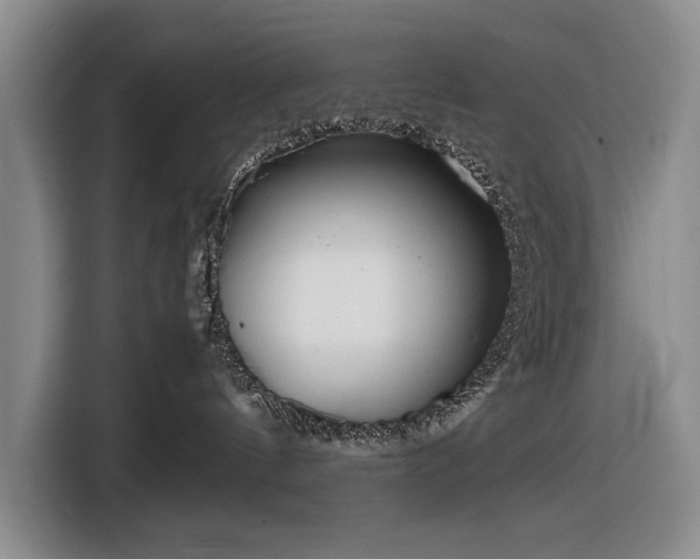 X0000116560144200912171417