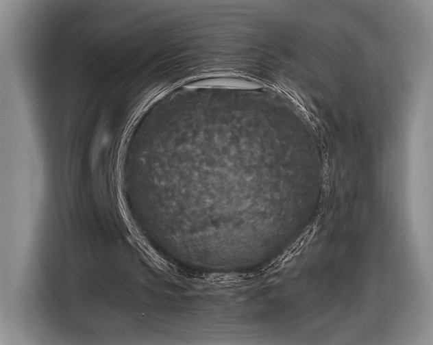 X0000116560145200912171416