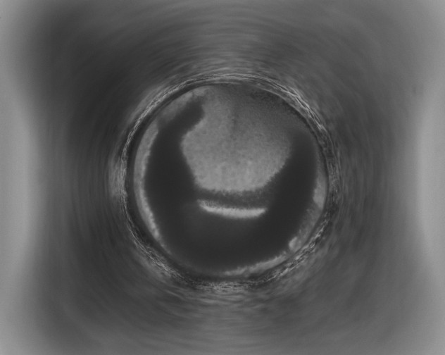 X0000116560146200912171416