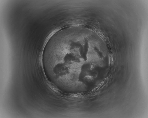 X0000116560147200912171416