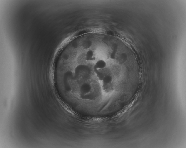 X0000116560149200912171416