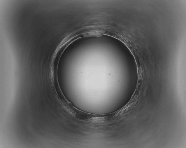 X0000116560150200912171416