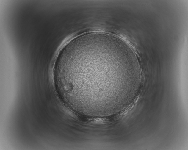 X0000116560151200912171416