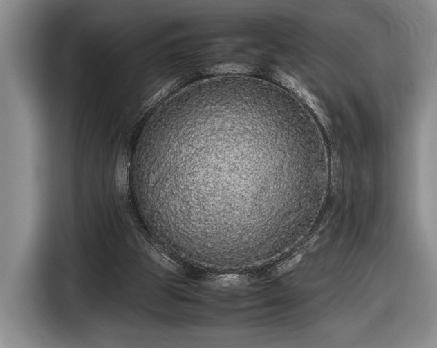 X0000116560153200912171416