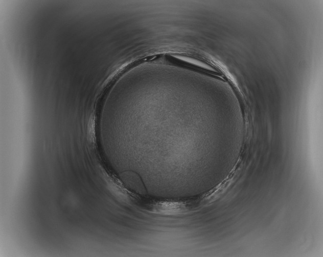 X0000116560154200912171416