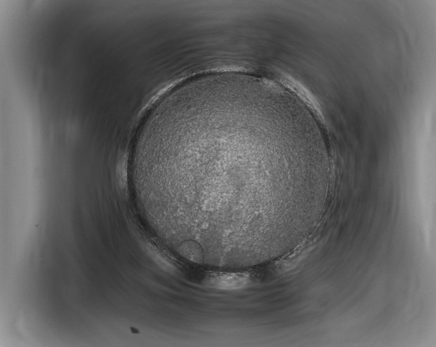 X0000116560155200912171416