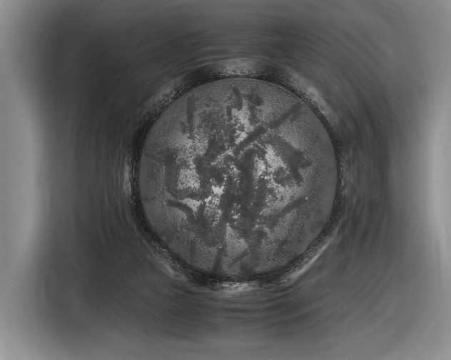 X0000116560161200912171416