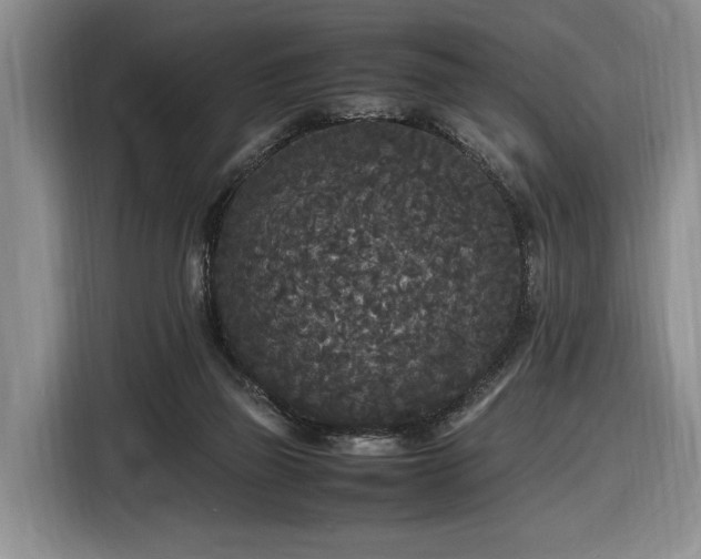 X0000116560165200912171417