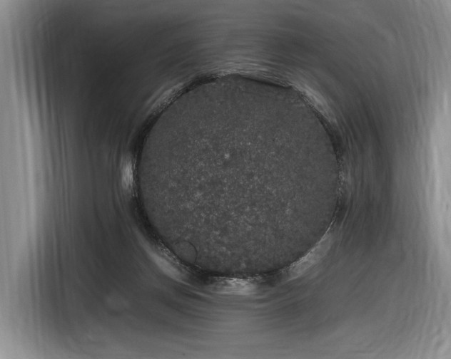 X0000116560166200912171417