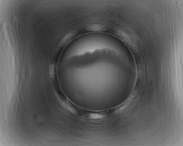 X0000116560167200912171417