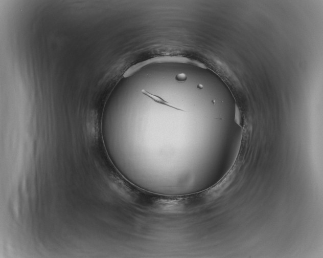 X0000116560170200912171417