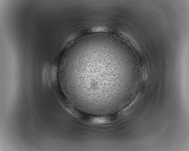 X0000116560171200912171417