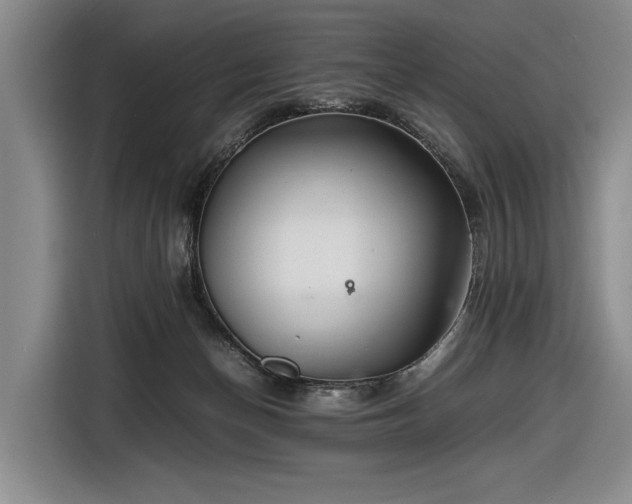 X0000116560174200912171417