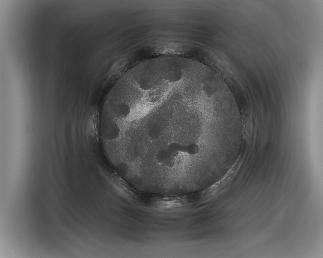 X0000116560175200912171417