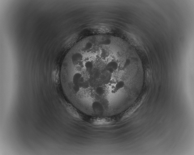 X0000116560177200912171417