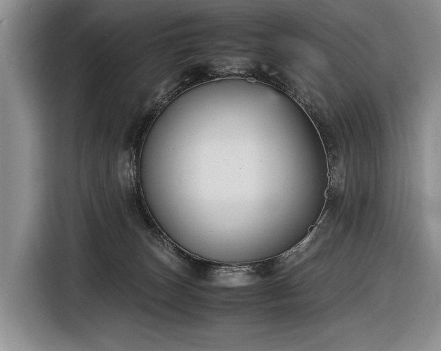 X0000116560179200912171417