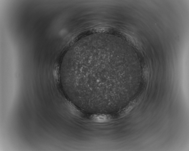 X0000116560181200912171417