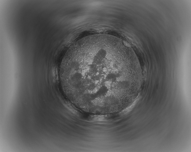 X0000116560182200912171417