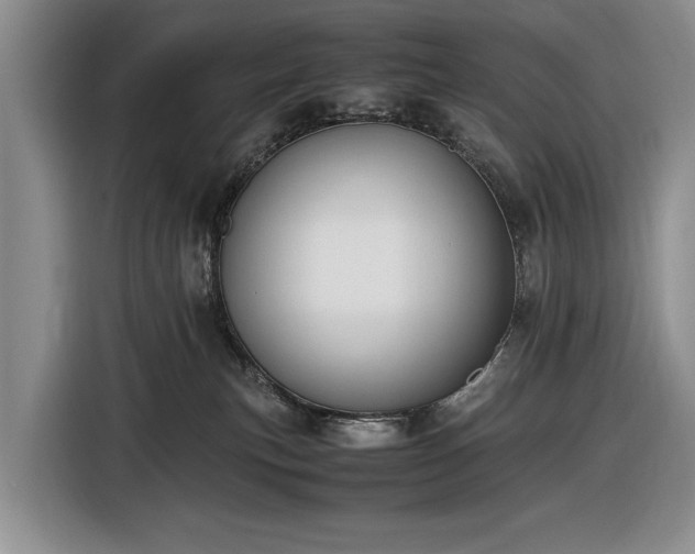 X0000116560183200912171417