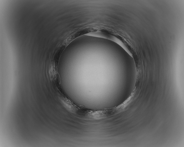 X0000116560186200912171417