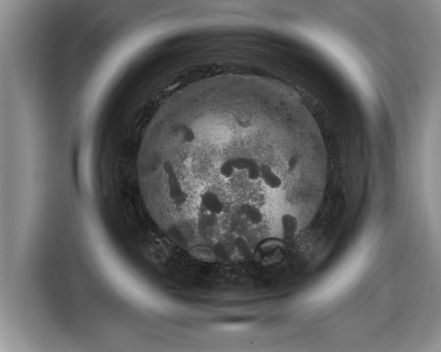 X0000116560189200912171417