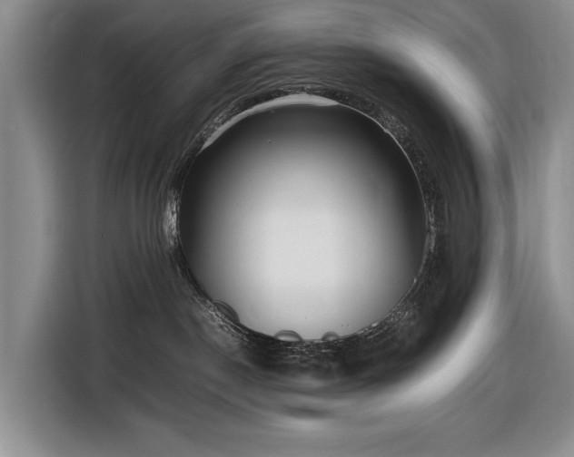 X0000116560190200912171417