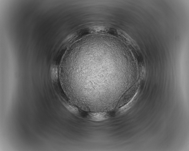 X0000116560191200912171417