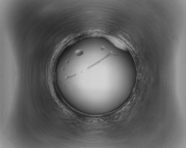 X0000116560193200912171416