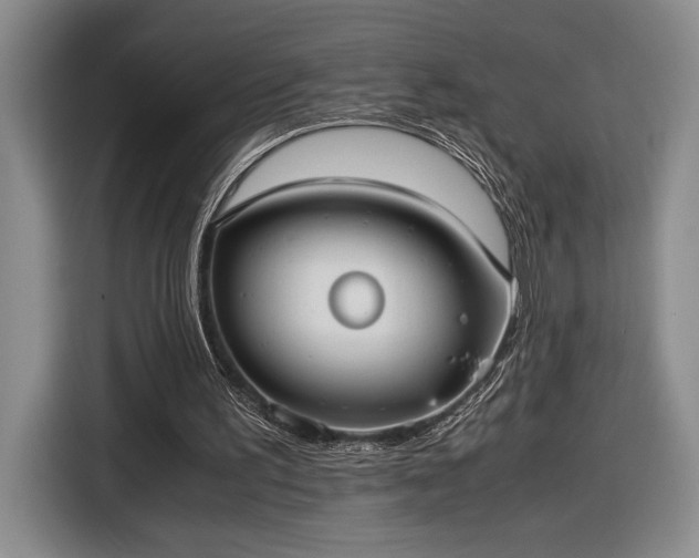 X0000116560195200912171416