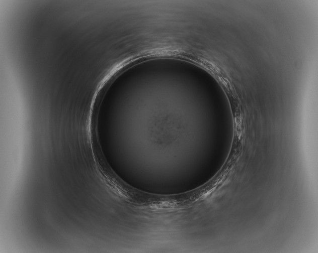 X0000116560196200912171416