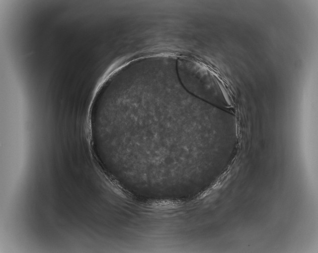 X0000116560198200912171416