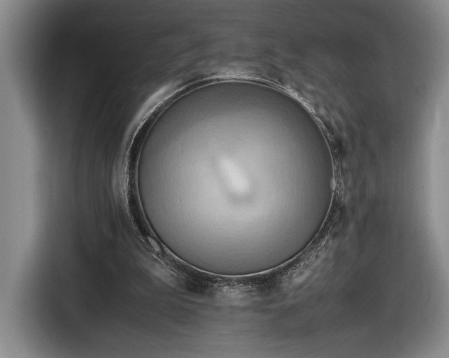 X0000116560199200912171416