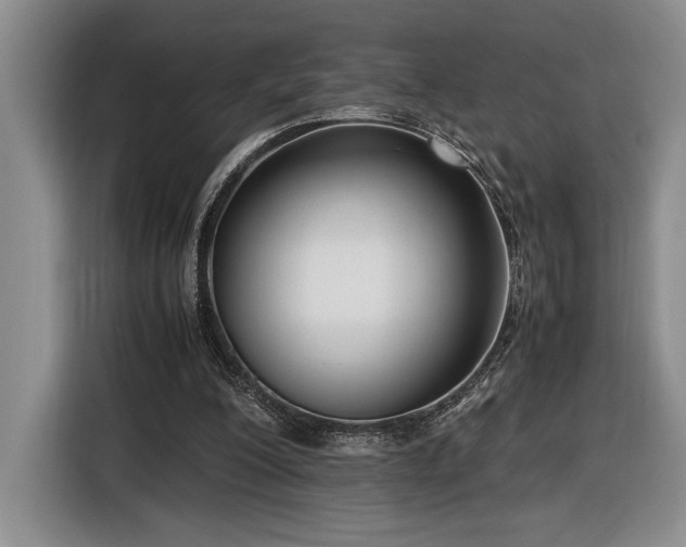 X0000116560200200912171416