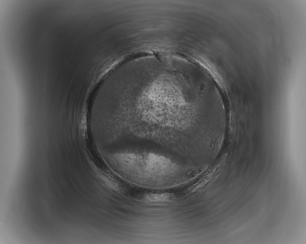 X0000116560202200912171416