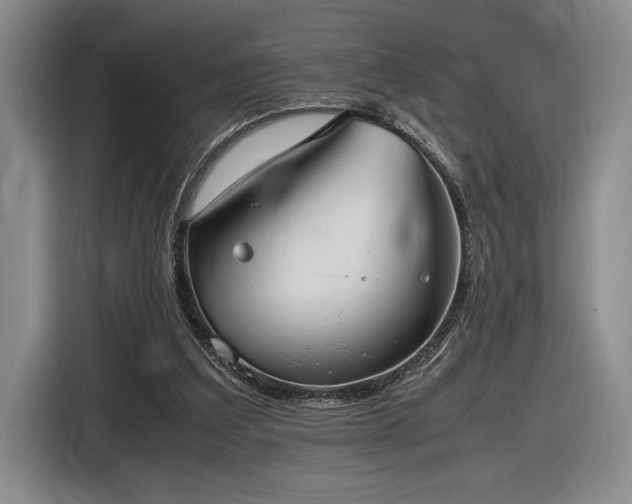 X0000116560203200912171416