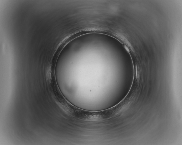 X0000116560204200912171416