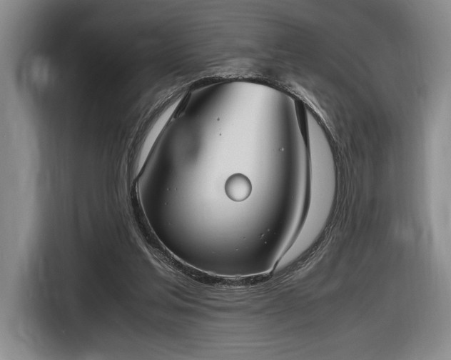 X0000116560205200912171416