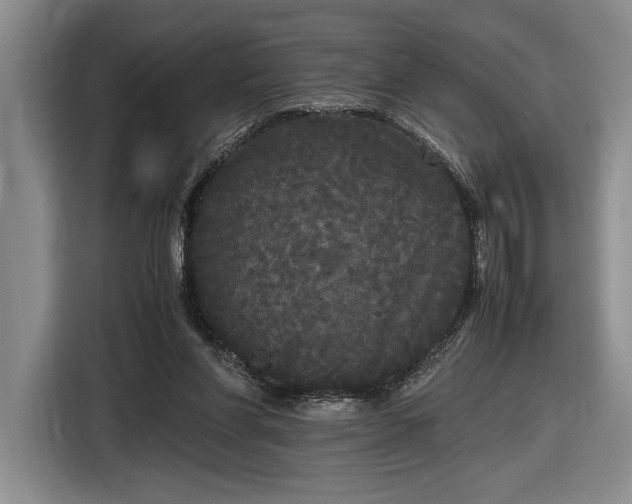 X0000116560206200912171416