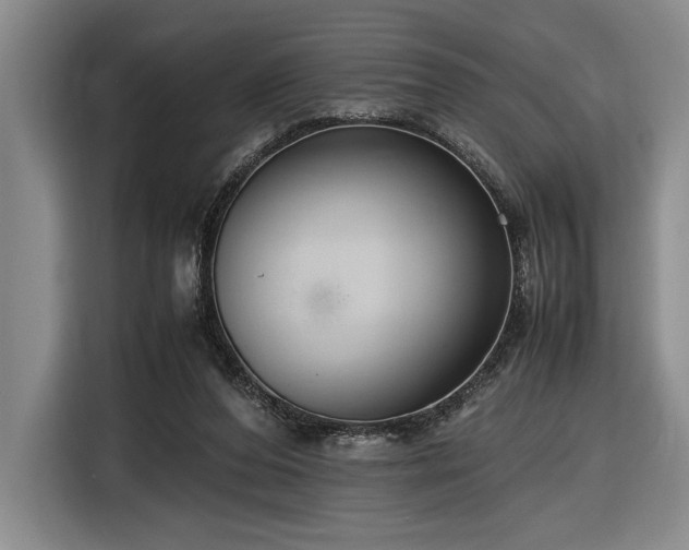 X0000116560208200912171416