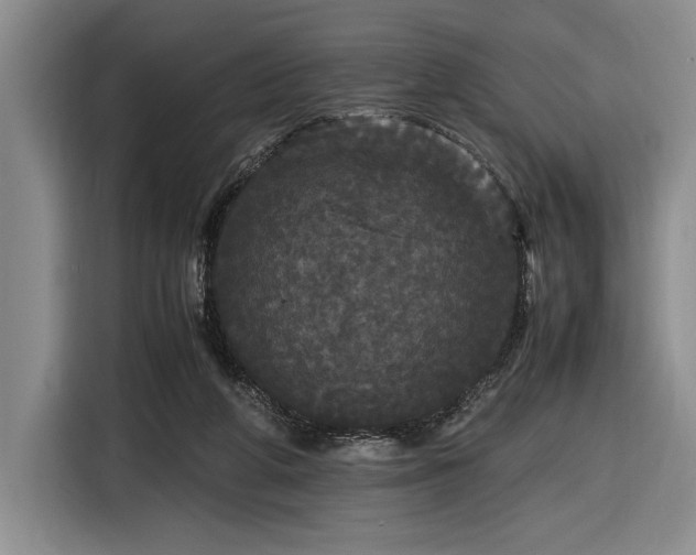 X0000116560210200912171416