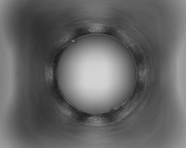 X0000116560211200912171416