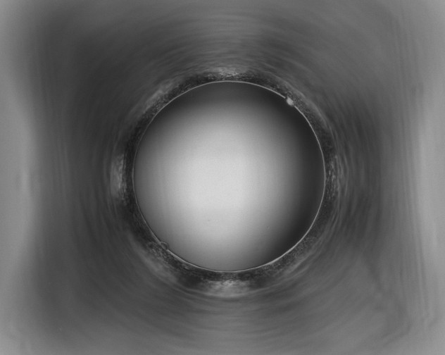 X0000116560212200912171416