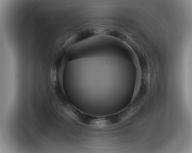 X0000116560219200912171416