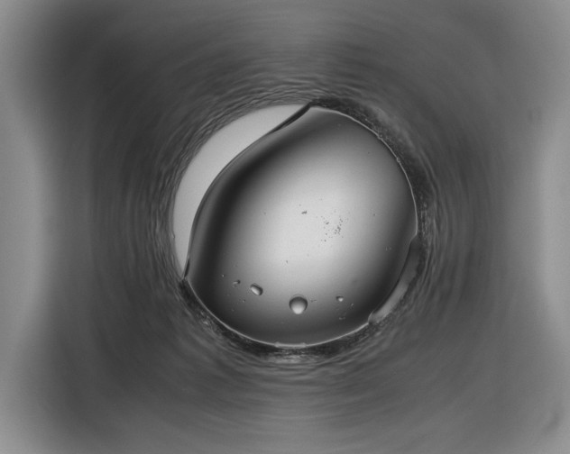 X0000116560221200912171416