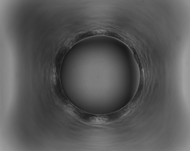 X0000116560223200912171416