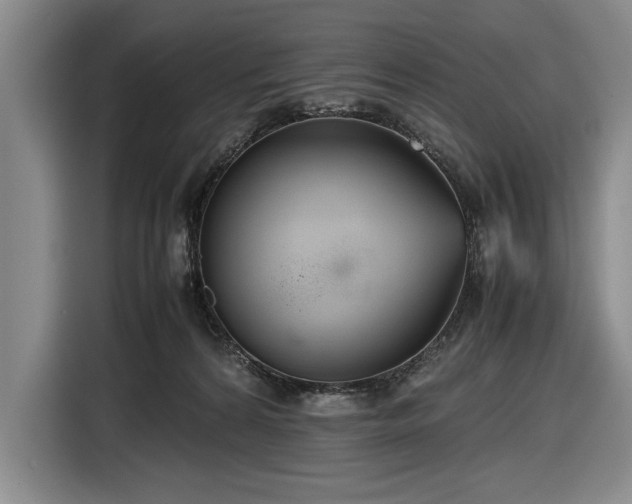 X0000116560224200912171416