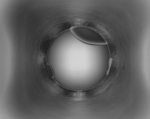 X0000116560225200912171416